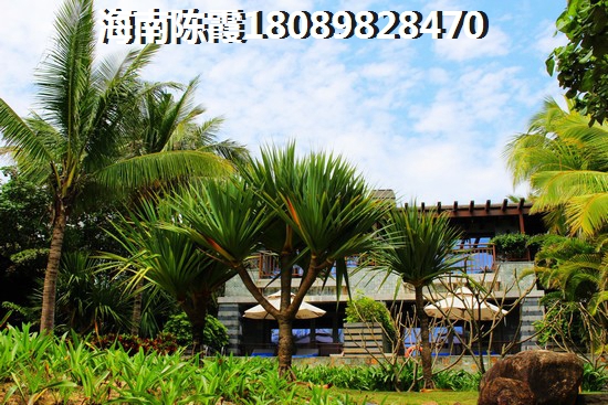 海南儋州洋浦保利中心房价会不会一直涨？