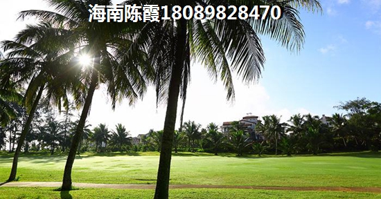 儋州联合城市花园详情