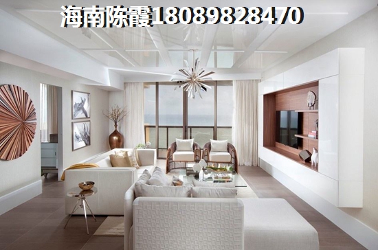 >2024儋州购房分析