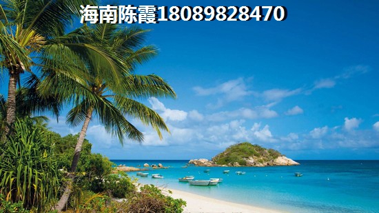 海南2025有前景的地段