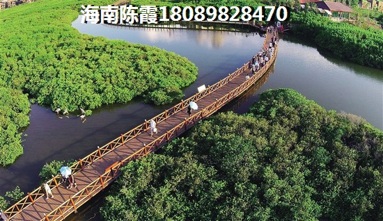 海南海阳城2025项目touzi潜力与风险全解析，还能入手吗？